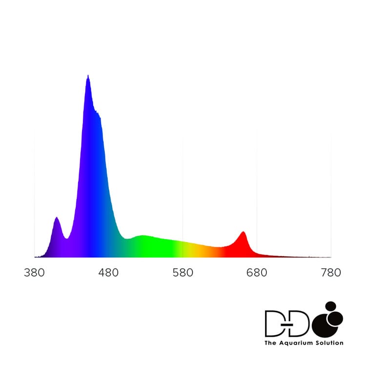 AI Prime 16HD LED - Black image 2