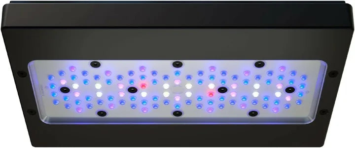 Ecotech Marine Radion G6 XR30 Blue